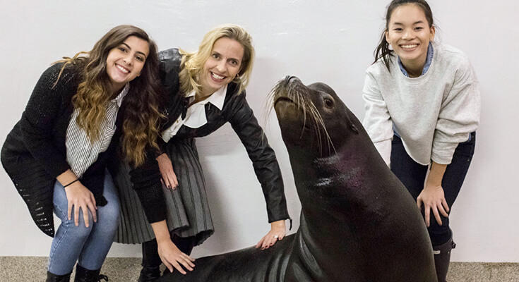 Students with California Sealion