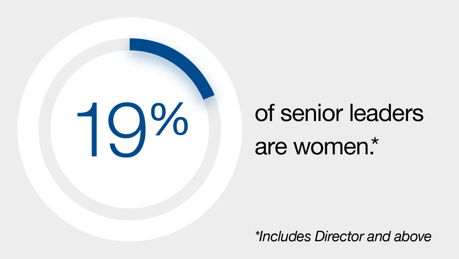 Percentage of Senior Leaders Graphic