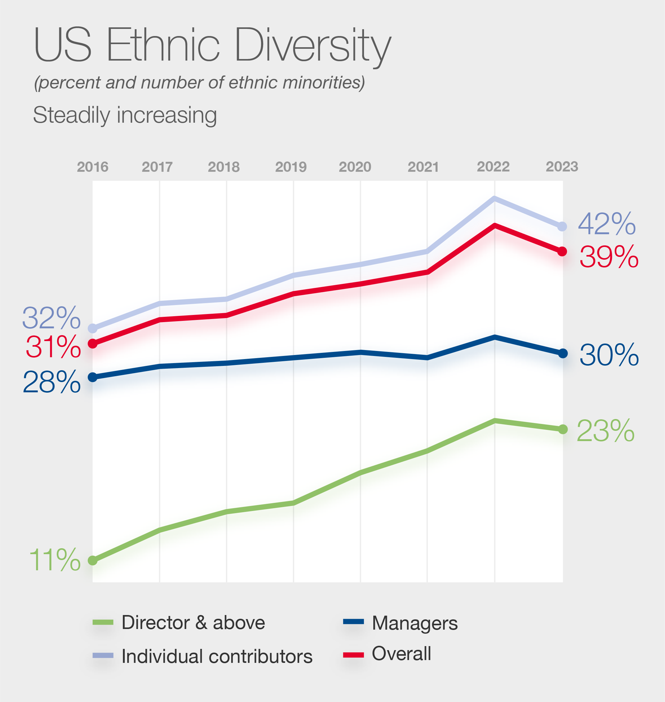 US Ethnic Diversity Graphic