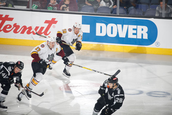 Chicago Wolves hockey game